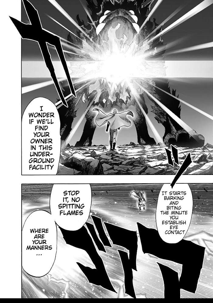 One Punch Man - Chapter 106 image 18